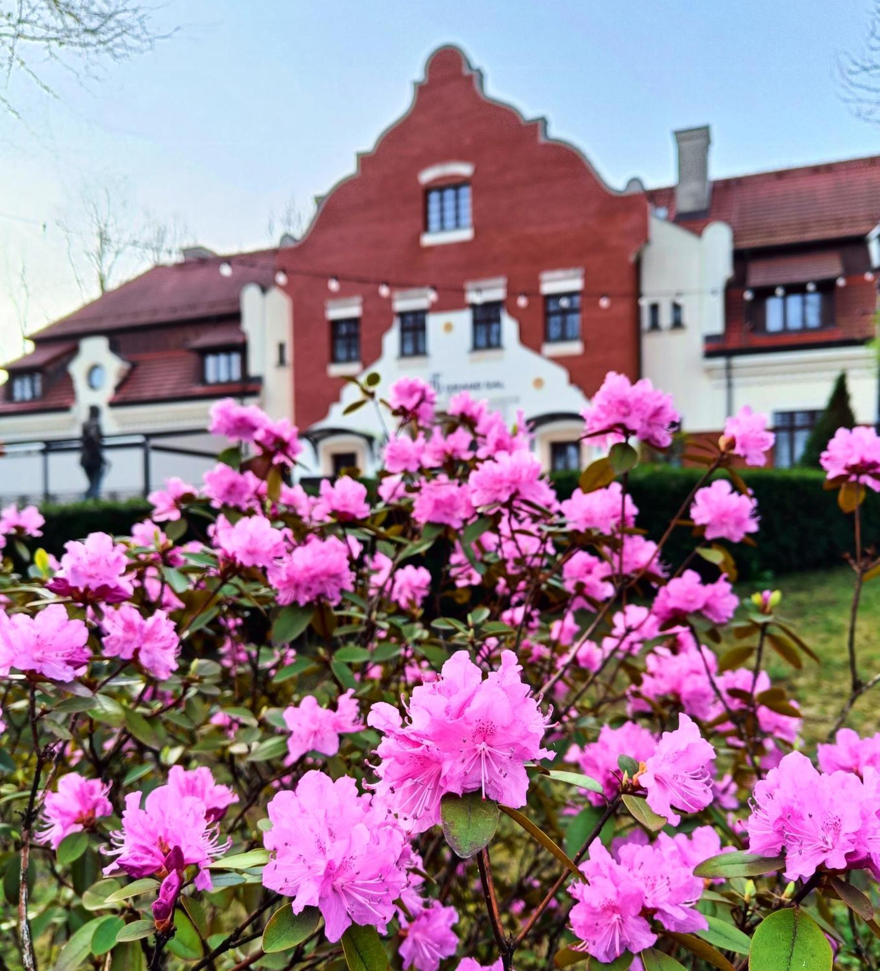 Hotel Grand Sal Groß Salze Exterior foto